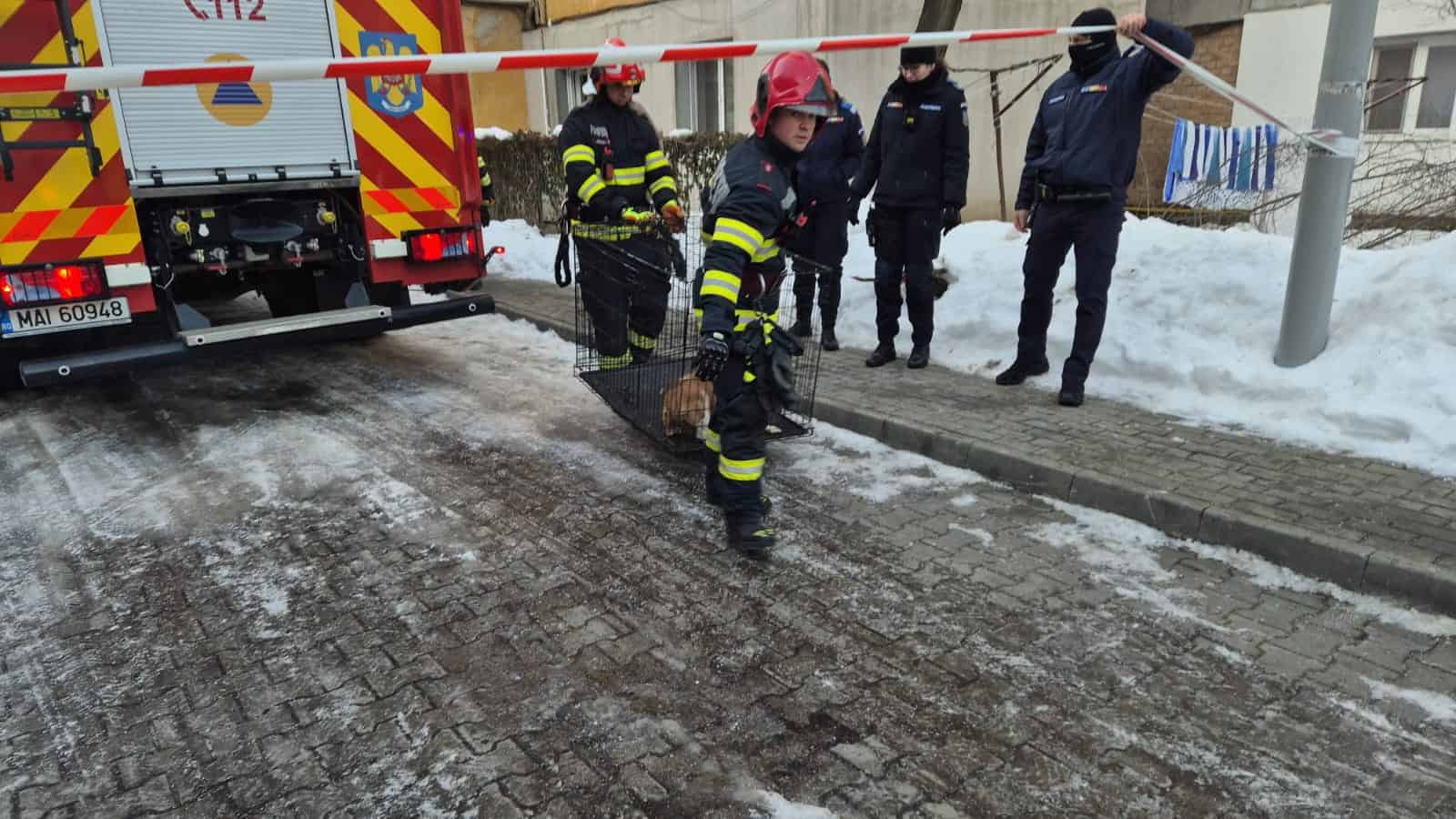 FOTO-VIDEO: Cățel salvat din apartamentul din Alba Iulia în care s-a produs o explozie. A fost dus la veterinar