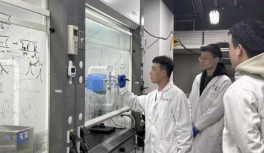 Micron, vedeta pe termen lung a pieței de semiconductori. Industria rămâne imprevizibilă