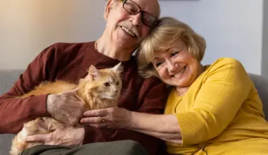 Victorie pentru pensionari. Eliminarea CASS la pensiile peste 3.000 lei, la Înalta Curte. Ce șanse sunt? • Newsweek România