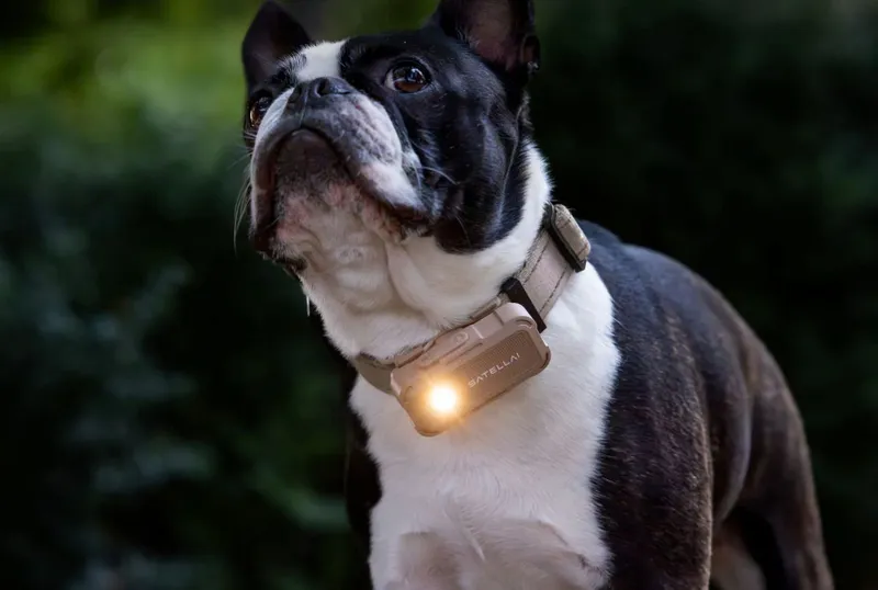 Collar Go - Foto: Satellai