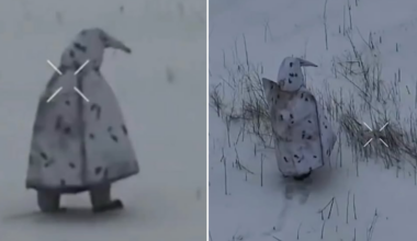 Soldați ruși camuflați în pinguini. Cum s-au dat rapid de gol (Video)