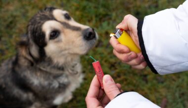 „Mi se pare suficient pentru ca alte civilizații să nu ne contacteze!”