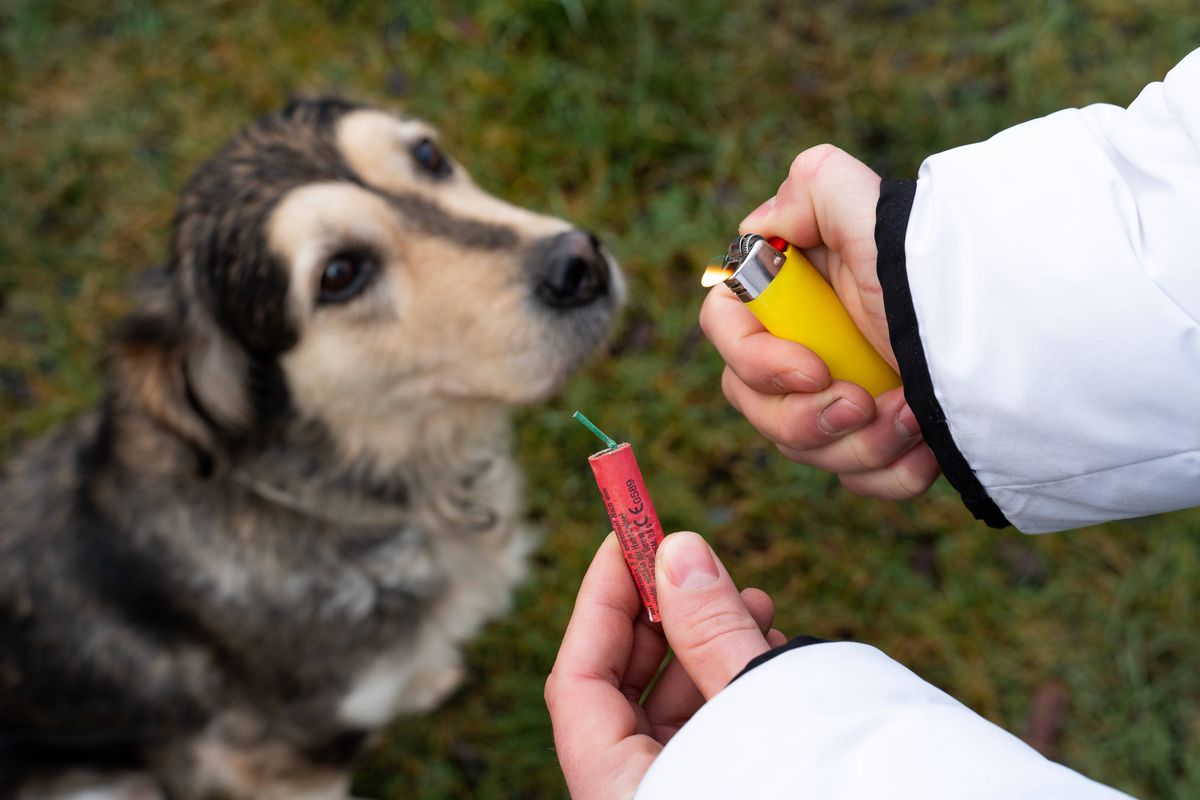 „Mi se pare suficient pentru ca alte civilizații să nu ne contacteze!”