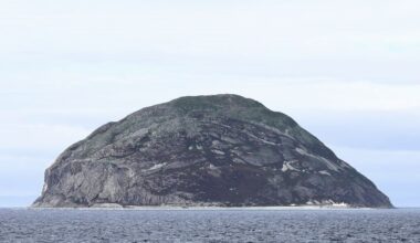 „Probabil am câștigat toate medaliile”