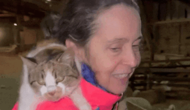 Soția fostului premier Dacian Cioloș, apariție inedită pe Facebook. A cântat printre oi, cu o pisică în brațe