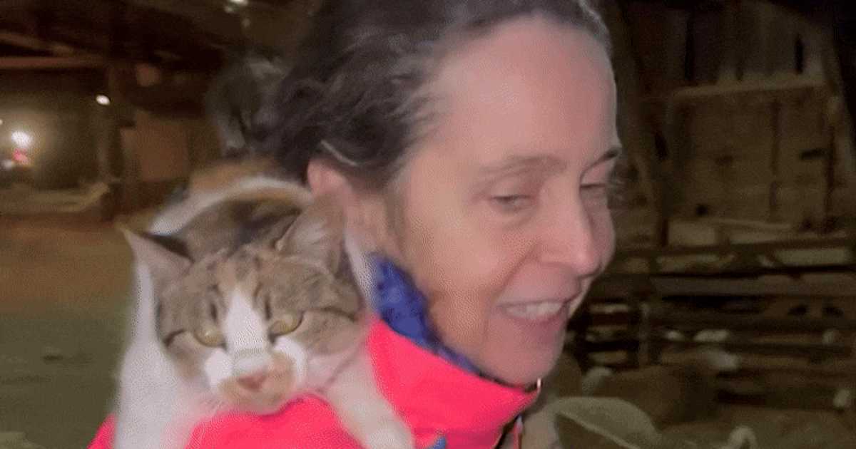 Soția fostului premier Dacian Cioloș, apariție inedită pe Facebook. A cântat printre oi, cu o pisică în brațe