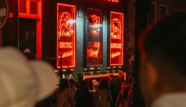 Un sucevean a încercat să spargă un sexshop cu un topor. Toate jucăriile ar fi încăput în 2 sacoșe de rafie