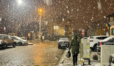 Ninge în județul Alba