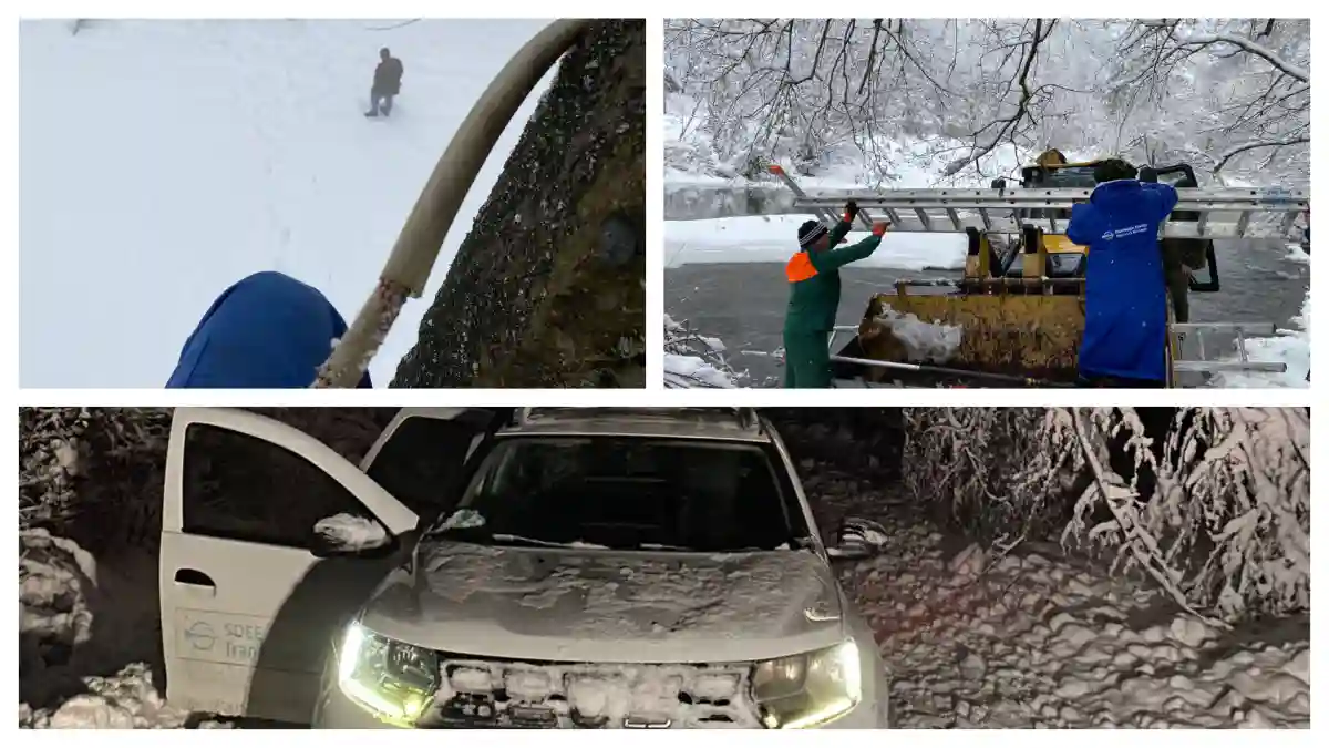 FOTO | Eroii din spatele remedierii avariilor din Munții Apuseni: Sorin Bistrian și Ovidiu Fufezan, inginerii care au coordonat sutele de electricieni aflați pe teren