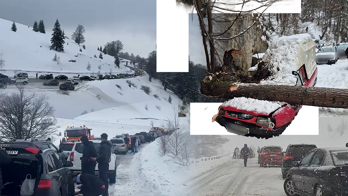 Gândul de Vreme | Cod galben de ninsori în jumătate de țară, detalii de ultimă oră pentru Gândul, de la ANM. Zeci de mașini blocate pe drumul spre Rânca, copaci doborâți de zăpadă