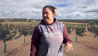 Salariul uriaș primit de această româncă în Spania, la cules de fistic. Câți euro ia Andreea pe oră