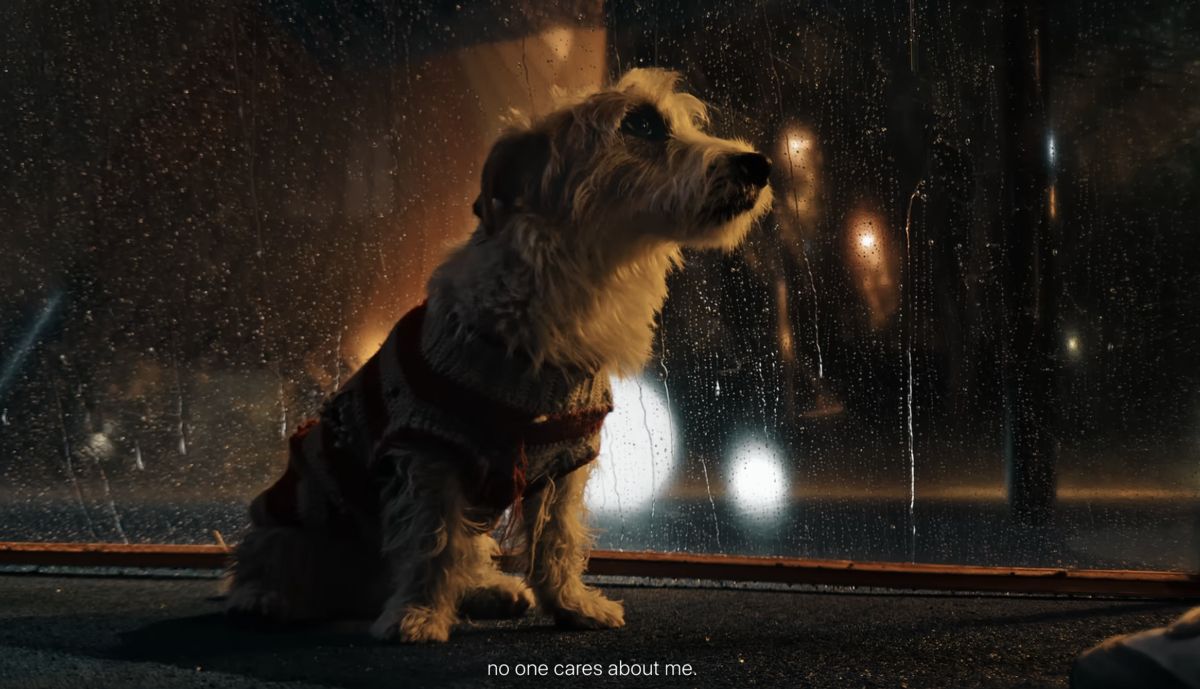 Din seria shot on iPhone Apple a lansat filmul Glad I Met You care ne arată ce calitate poate fi înregistrată cu un iPhone 17 Pro.