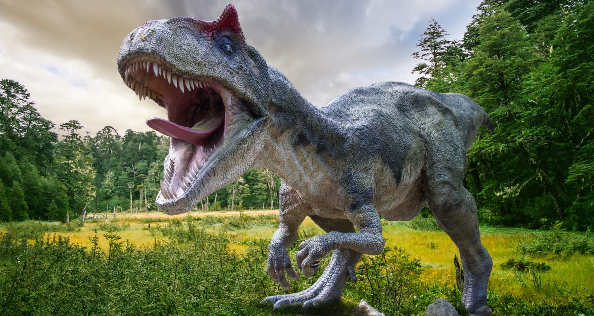 Ce au descoperit paleontologii din China într-un ou de dinozaur, specie nemaiîntâlnită, veche de 70 de milioane de ani