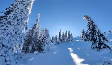 Vortexul polar revine în România. Iarna ia o pauză câteva zile, temperaturile cresc, apoi gerul se întoarce în forță