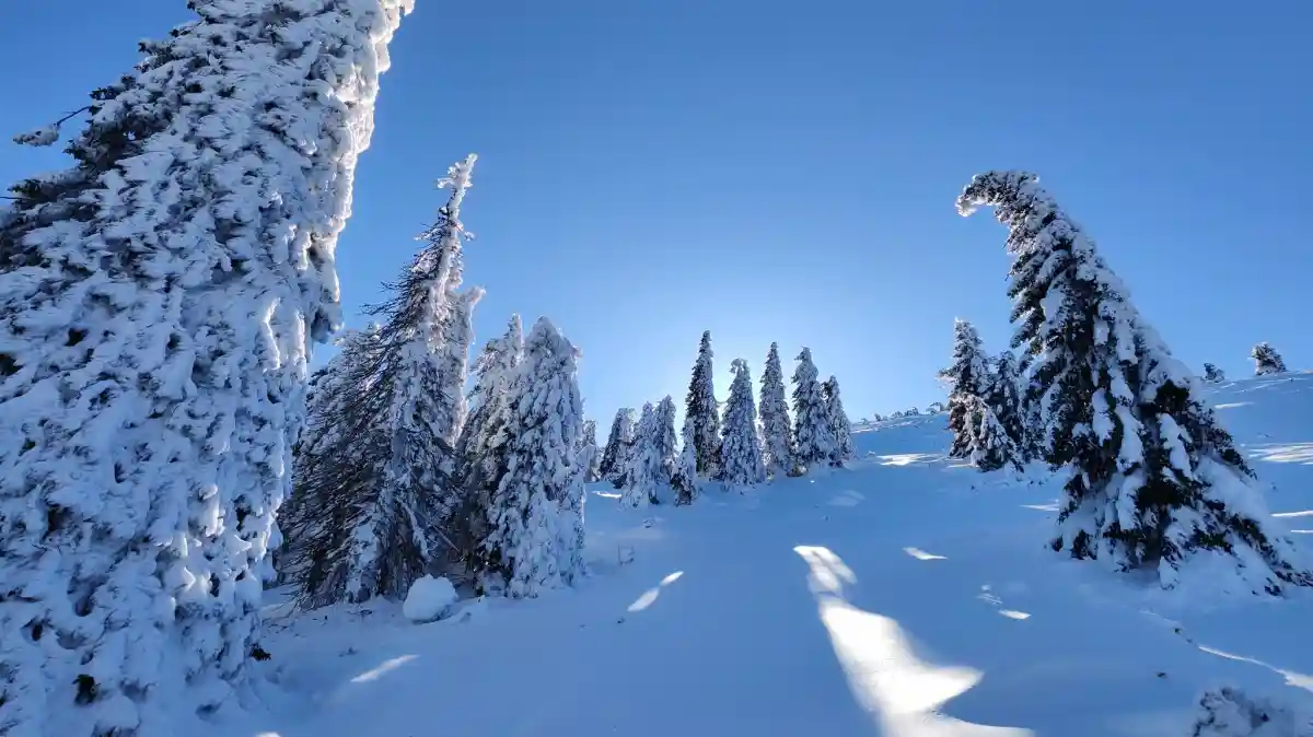 Vortexul polar revine în România. Iarna ia o pauză câteva zile, temperaturile cresc, apoi gerul se întoarce în forță
