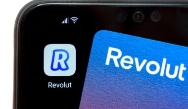 Un IT-ist din Iași și-a ajutat vărul să-și facă cont și a rămas fără toți banii. Prejudiciu de peste 21.000 de lei