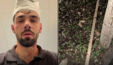 „Huliganii mi-au nenorocit copilul! Parul cu care l-au lovit e plin de sângele lui”