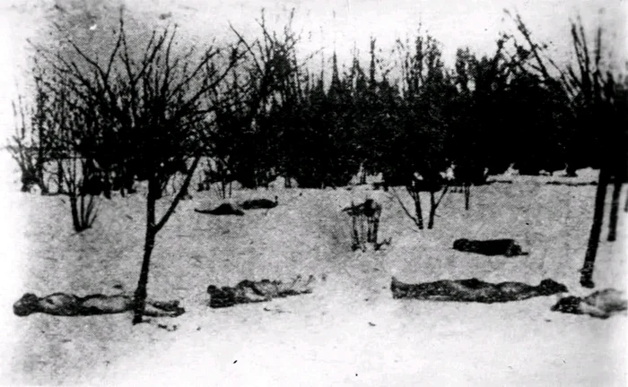 „Pe aici a trecut Sfânta Tinerețe Legionară“, scria Brunea Fox în dreptul fotografiei