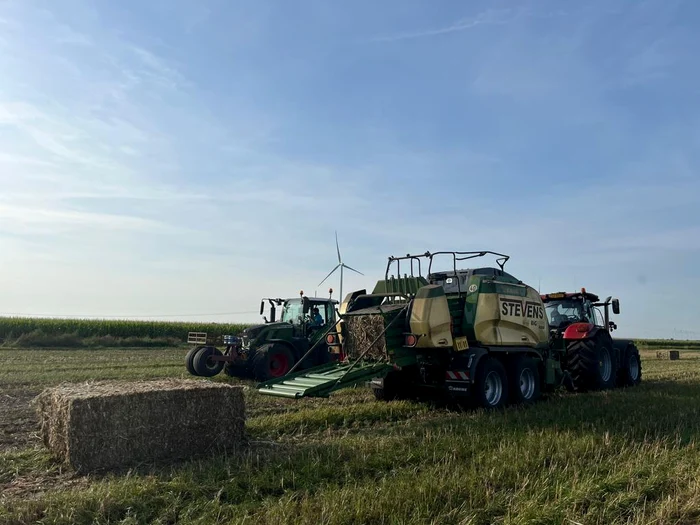 Compania olandeză HempFlax FOTO: FB