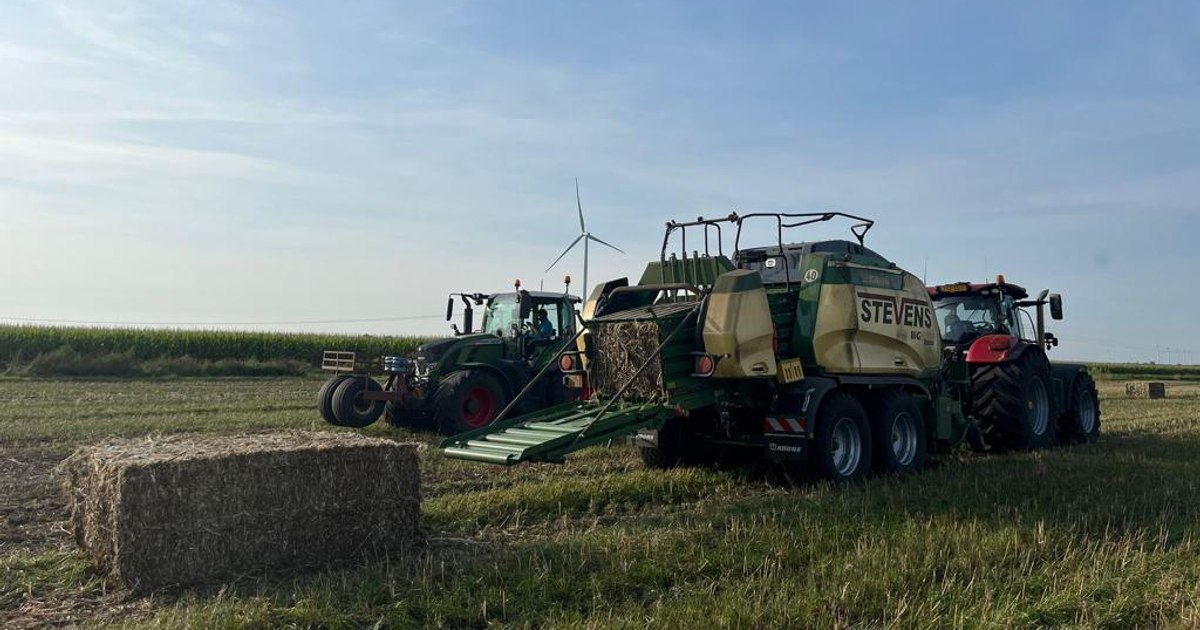 O mare companie olandeză își vinde fabrica, utilajele și terenurile din România: 800 de hectare disponibile pentru investitori