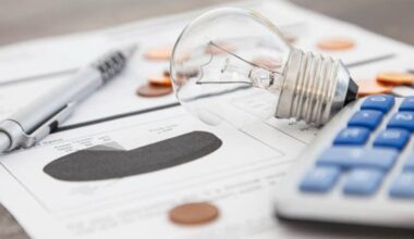 O companie românească oferă cele mai mici prețuri la energie, sub Hidroelectrica. Ce oferte are