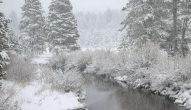 Alertă meteo imediată de vreme severă! Vânt puternic, ploaie și ninsoare în România. Iată lista localităților afectate