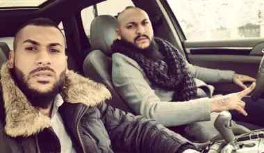 fratii mocanu dani manelisti