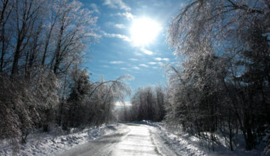 Primăvara "fură startul". Maxime de 13 grade și o încălzire neașteptată în toată țara. Prognoza pe regiuni în primele două săptămâni din februarie