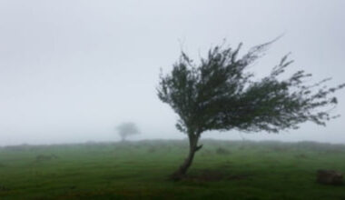 Alerte de vreme severă imediată. Localitățile aflate sub Cod galben în orele următoare UPDATE