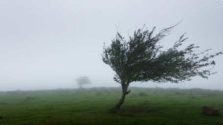 Alerte de vreme severă imediată. Localitățile aflate sub Cod galben în orele următoare UPDATE