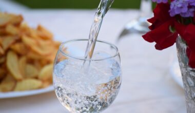 Țara în care apa a devenit simbolul luxului și opulenței. Este deja o industrie de 400 de milioane de dolari pe an