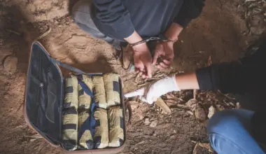 bărbat arestat și captură de droguri