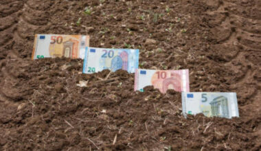 Suprafața minimă pentru subvenții