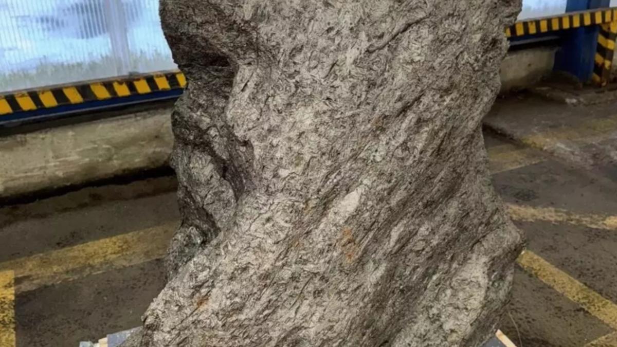 fragment meteoritul aletai descoperit container vapor rusia