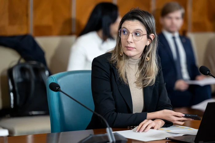 Diana Buzoianu, ministrul Mediului. FOTO gov.ro