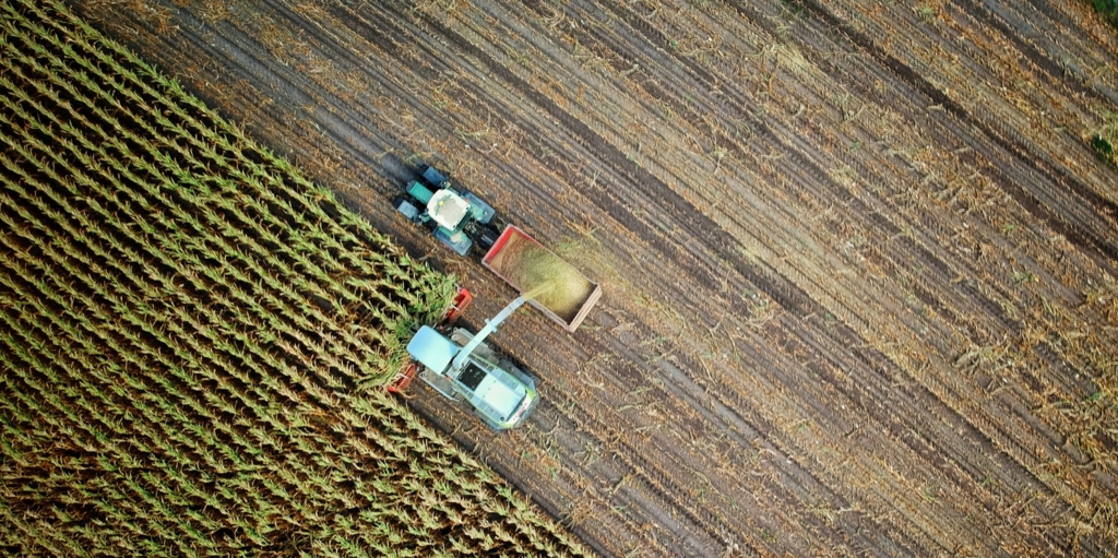 Cine ne ține să nu facem agricultură la nivel mare. ”Din 3,5 milioane de fermieri, 90% lucrează în ferme mici care nu pot fi competitive”