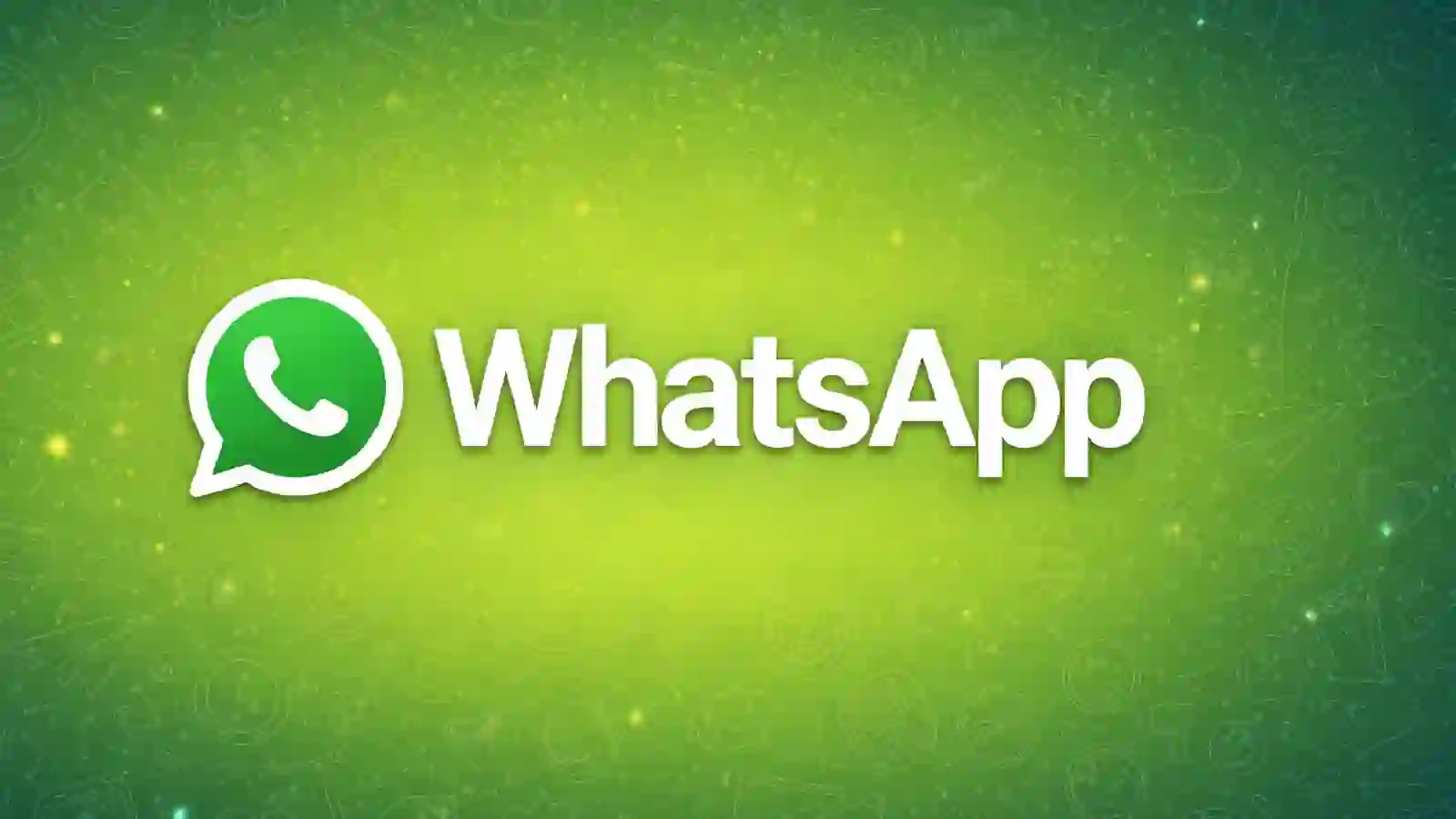 WhatsApp Android chat info