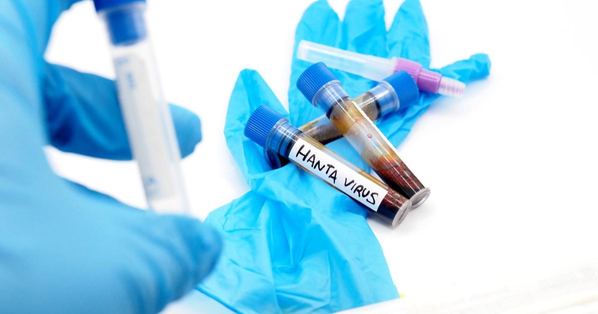 A fost confirmat primul caz de hantavirus în România, la un pacient din Arad. Reacţia INSP