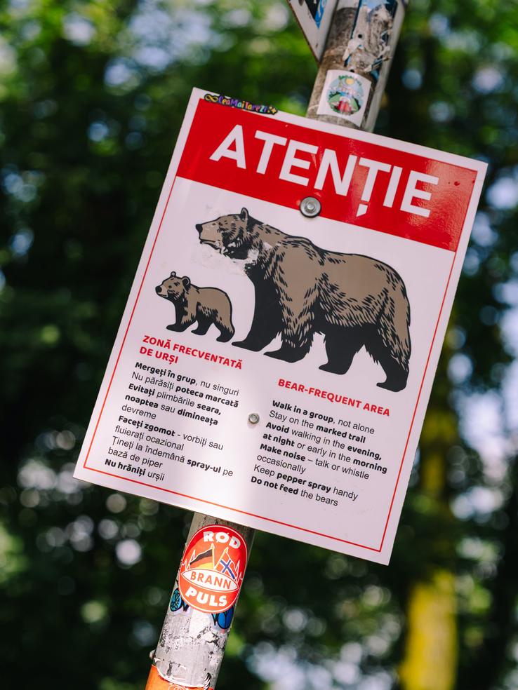 Norvegienii de la Brann, surprinși de ce au găsit în România // foto: facebook Sportsklubben Brann