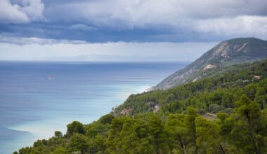 Animalul pe cale de dispariție din Europa, crescut de doar câțiva fermieri din Grecia. Cum încearcă cercetătorii să salveze rasa