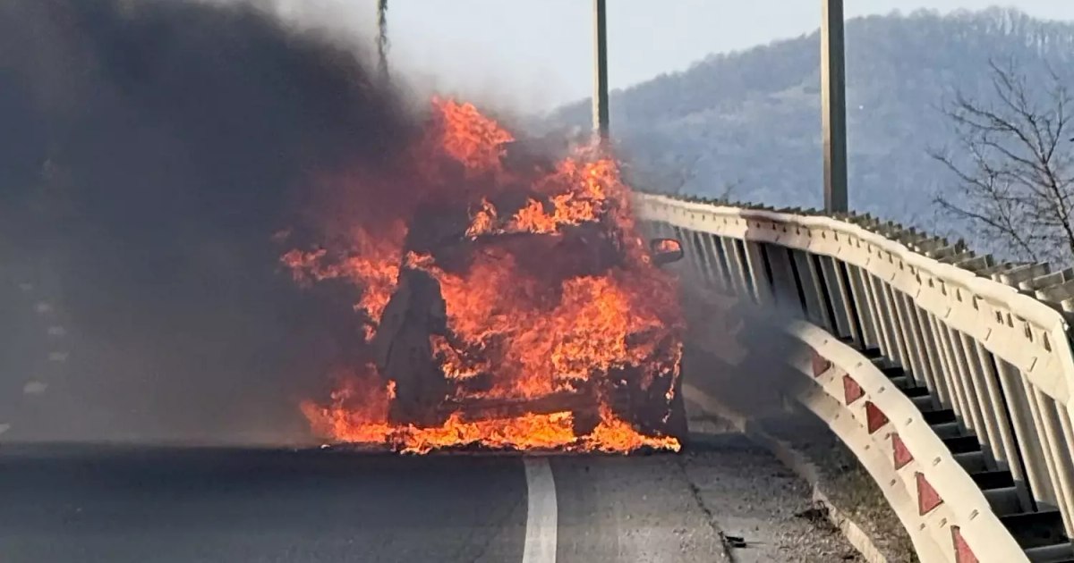 „Am plătit pentru o mașină care nu mai exista”. Coșmarul unui român după ce autoturismul hibrid i-a luat foc în mers