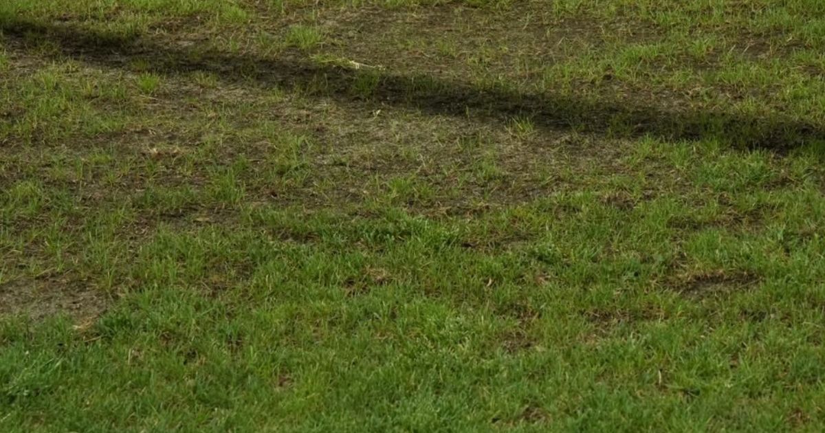 Gazonul a cedat definitiv! Imagini alarmante de pe Arcul de Triumf! Dinamo - U Cluj se joacă pe un teren făcut praf