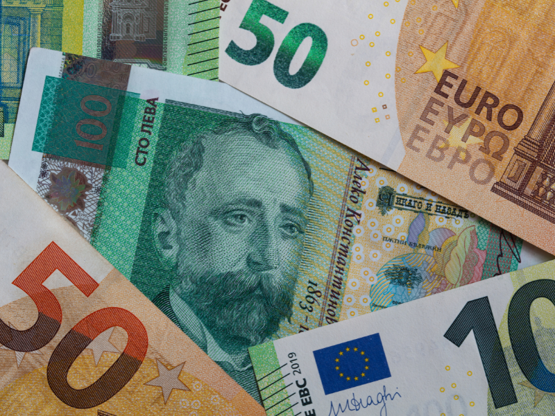 Consecințele negative pe care le poate avea adoptarea euro și cum pot capitaliza politic extremiștii pe această temă. Este România pregătită?