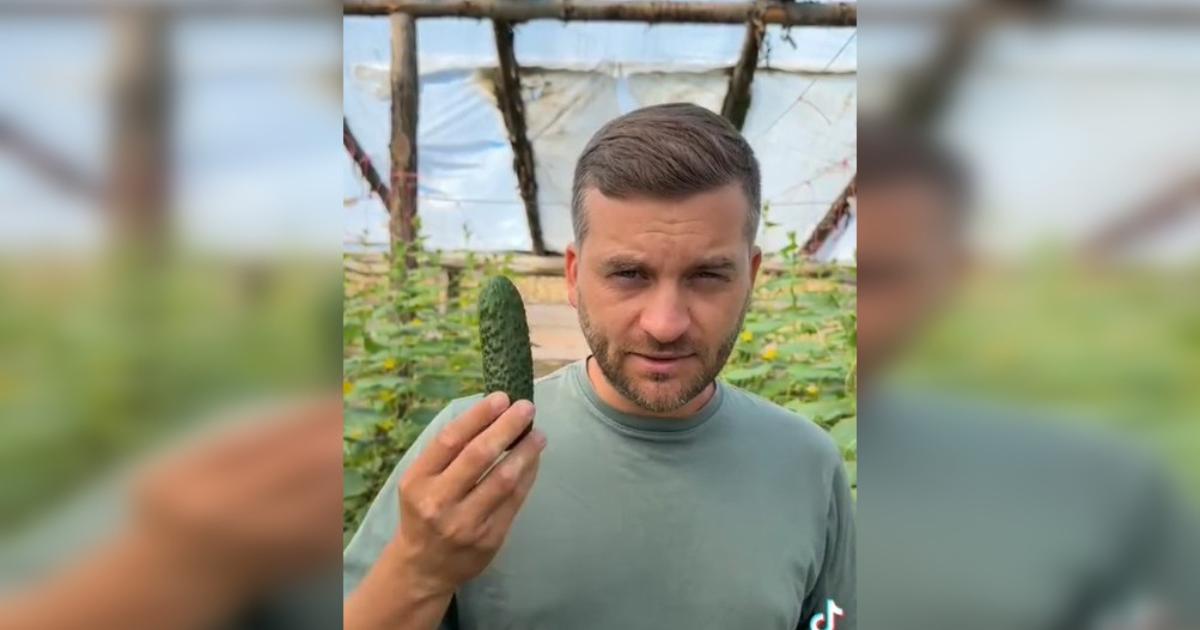 Comuna unde se dau castraveţi gratis, cu o condiţie: "Puteți să faceți afaceri cu ei, nu mă interesează"