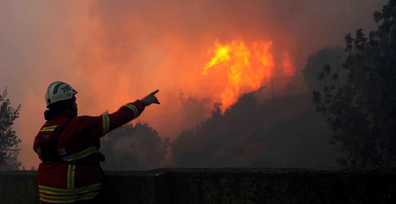Tände eld på skogar i Portugal