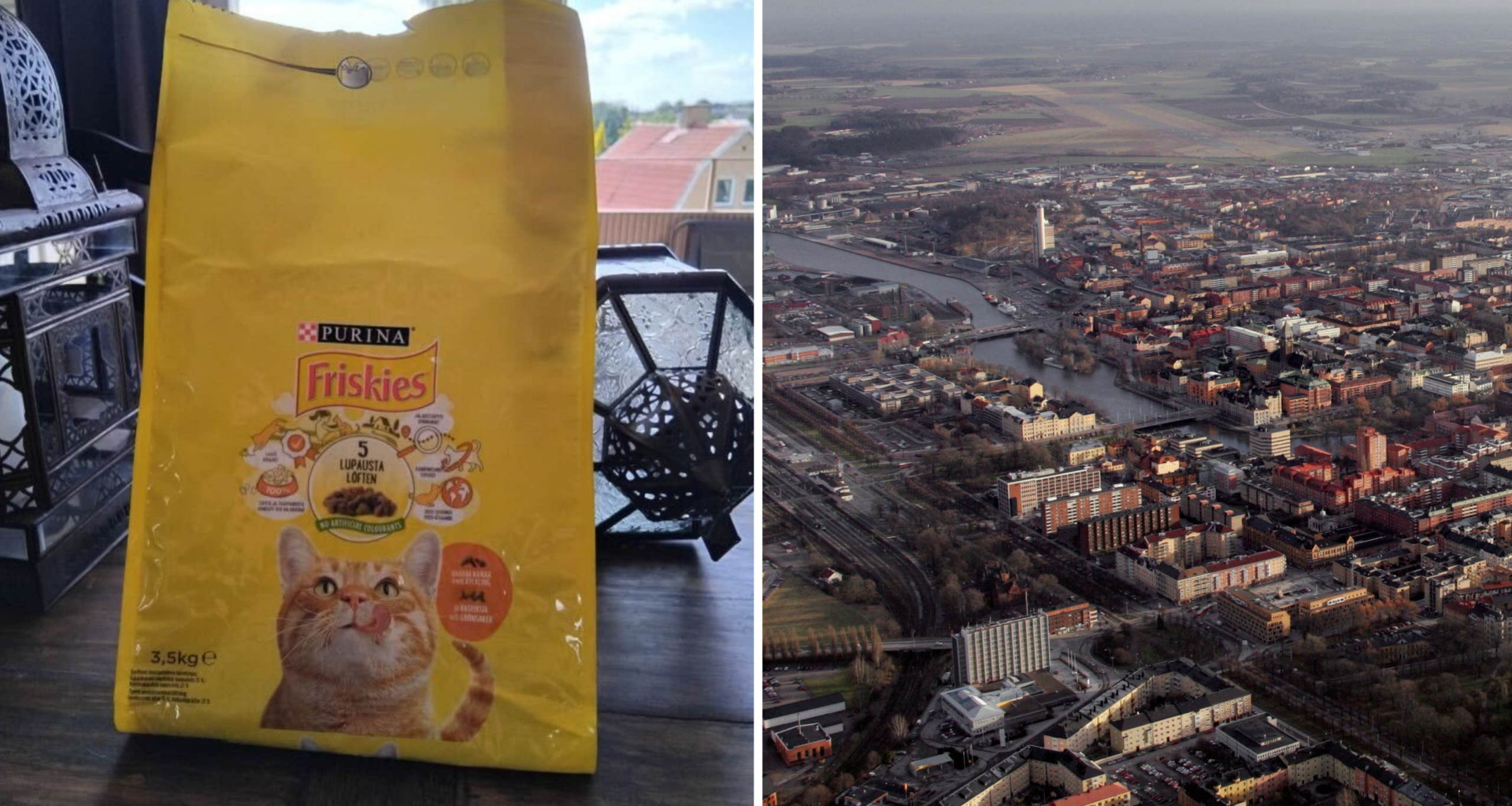 Eva, 79, serverades kattmat av hemtjänsten | Sverige