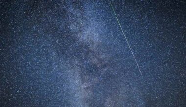 Meteorregnet är här igen – syns bäst fram till torsdag | Vetenskap