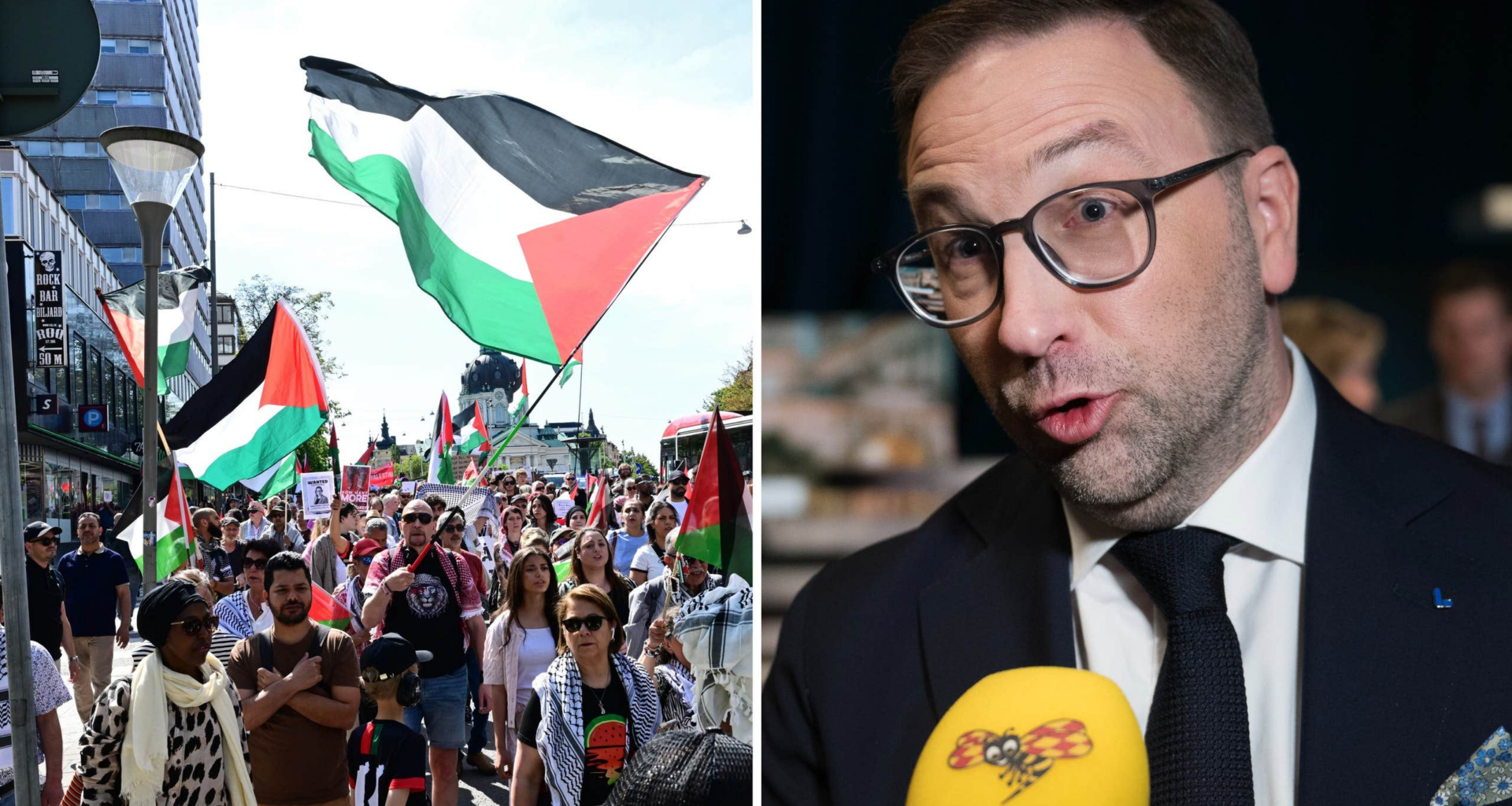 Fredrik Malm (L) ifrågasätter Palestinademonstrationer