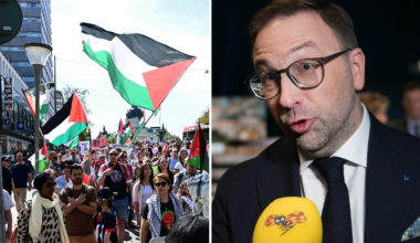 Fredrik Malm (L) ifrågasätter Palestinademonstrationer
