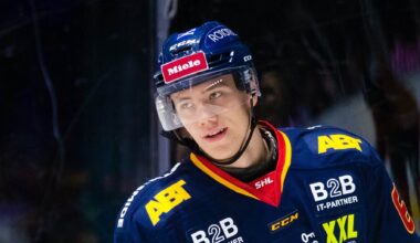 Björklöven värvar Anton Malmström